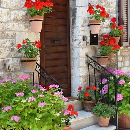 Casa Gentile Apartment Assisi Luaran gambar