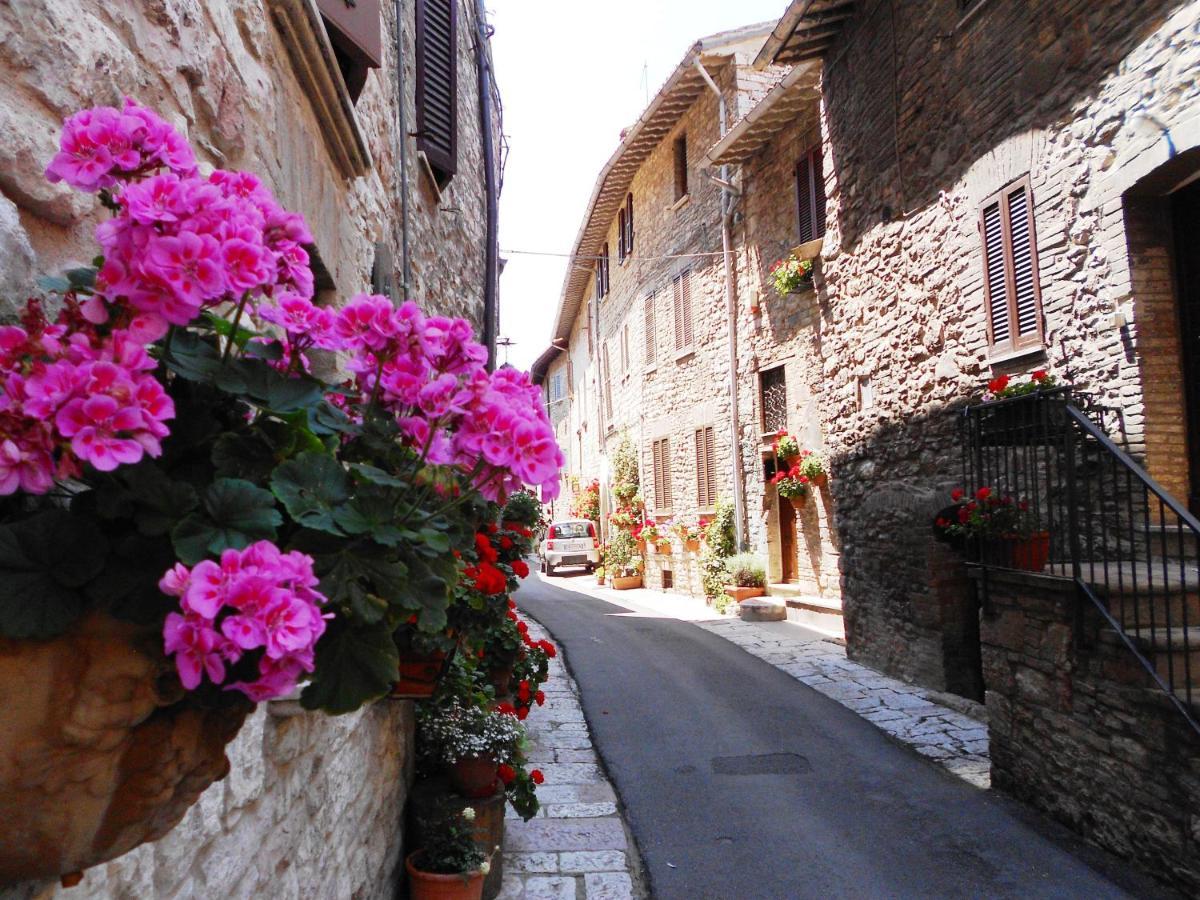 Casa Gentile Apartment Assisi Luaran gambar