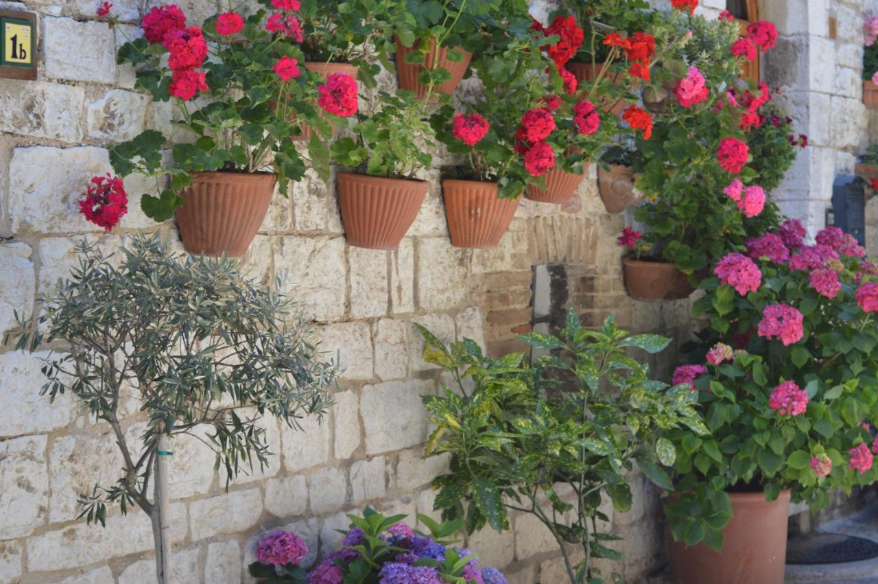 Casa Gentile Apartment Assisi Luaran gambar