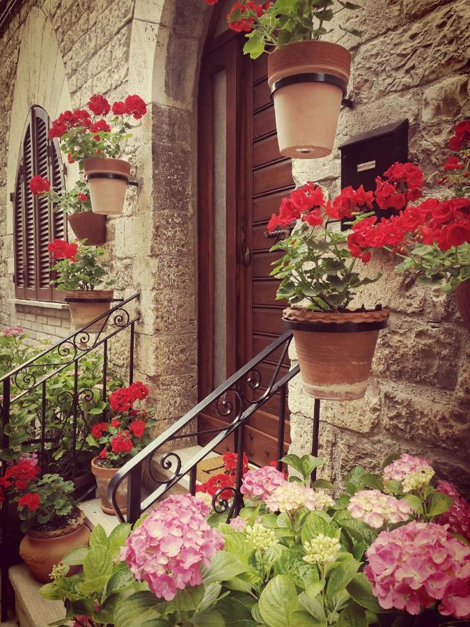 Casa Gentile Apartment Assisi Luaran gambar